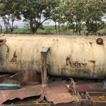 01 TANQUE MALAXEUR AC DE APROX. 4 METROS