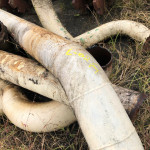 SUCATA DE TUBOS DE DIVERSAS POLEGADAS, APROXIMADAMENTE 5 TON.