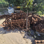 Correntes metálicas aprox. 2700 kg