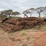 TUBOS DE CALDEIRA USADOS EM AC, 10TON (SCRIN CALD02)