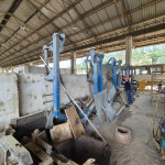 4 implementos laminas frontal para trator de esteira