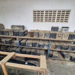 Grande quantidade de baterias automotivas 73 maiores aprox. 15T