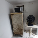 Sala 1: grande variedade de itens domesticos