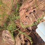 23 CARRETEIS DE CABO DE AÇO + 3 talha de chapa em AC+ I19C1