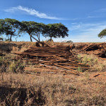TUBULAÇÃO DE CALDEIRA APROX. 50TON