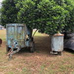 01 FILTRO AC DE DIESEL 200 LITROS +01 CARROCINHA AC