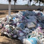 GRANDE QUANTIDADE  DE SACOS DE ADUBOS NYLON DE 50 KG (APROX. 1000 UNIDADES)