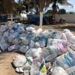 GRANDE QUANTIDADE  DE SACOS DE ADUBOS NYLON DE 50 KG (APROX. 1000 UNIDADES)