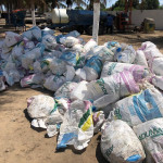 GRANDE QUANTIDADE  DE SACOS DE ADUBOS NYLON DE 50 KG (APROX. 1000 UNIDADES)