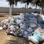GRANDE QUANTIDADE DE SACOS DE ADUBOS NYLON DE 50 KG (APROX. 1000 UNIDADES)