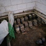 DIVERSOS COMPONENTES EM A/C: FLANGES, Ts, CURVAS, MANCAIS, PESTANAS