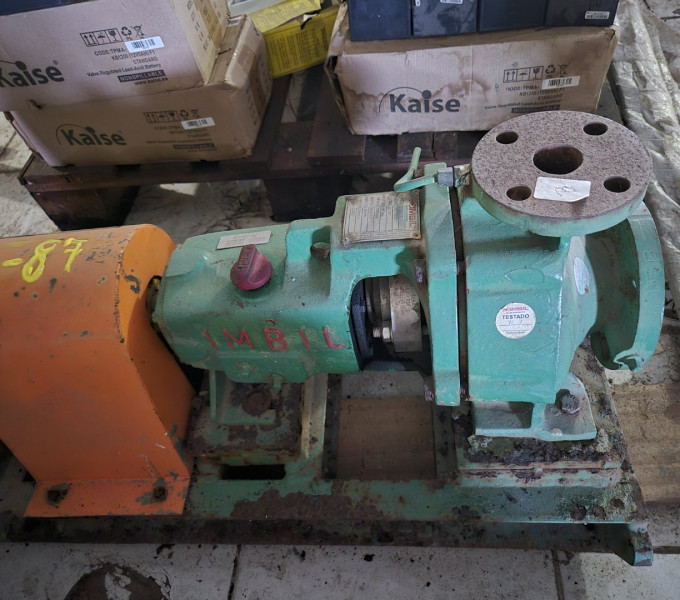 CONJUNTO MOTOR-BOMBA IMBIL/WEG